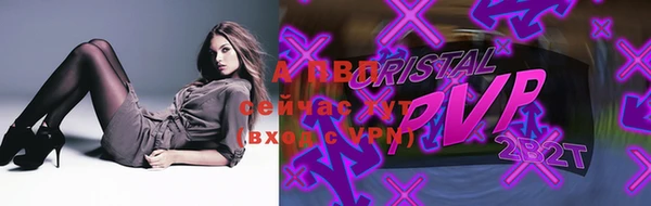 ешки Новый Уренгой