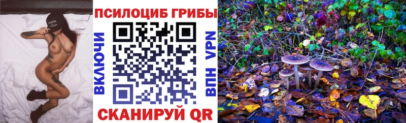 сколько стоит дарк нет Telegram Галлюциногенные грибы MAGIC MUSHROOMS Кушва