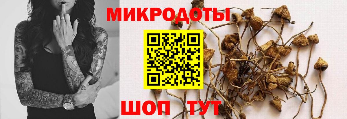 Кушва  Псилоцибиновые грибы мицелий  Галлюциногенные грибы Psilocybine cubensis  Вход с VPN 